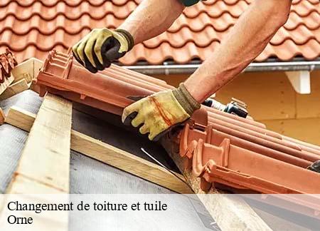 Changement de toiture et tuile Orne 