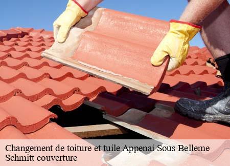 Changement de toiture et tuile  appenai-sous-belleme-61130 Schmitt couverture