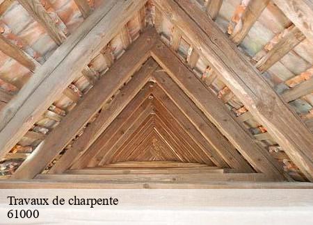 Travaux de charpente  61000