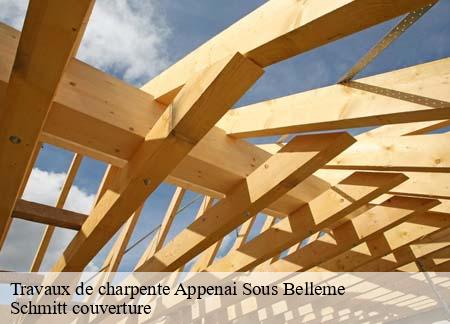 Travaux de charpente  appenai-sous-belleme-61130 Schmitt couverture