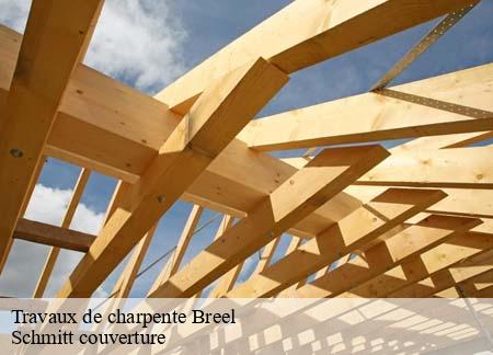 Travaux de charpente  breel-61100 Schmitt couverture