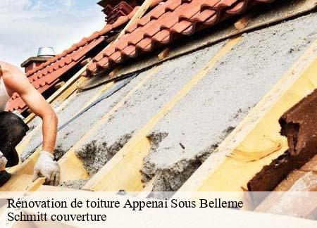 Rénovation de toiture  appenai-sous-belleme-61130 Schmitt couverture