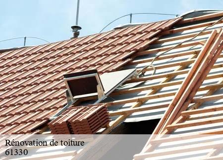 Rénovation de toiture  61330