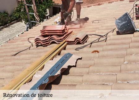 Rénovation de toiture