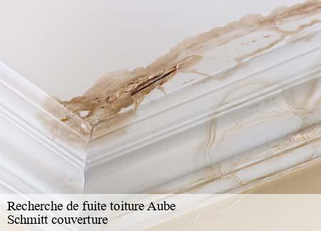 Recherche de fuite toiture  aube-61270 Schmitt couverture