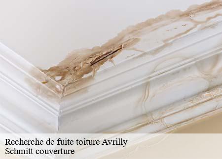 Recherche de fuite toiture  avrilly-61700 Schmitt couverture