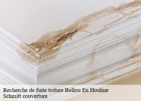 Recherche de fuite toiture  bellou-en-houlme-61220 Schmitt couverture