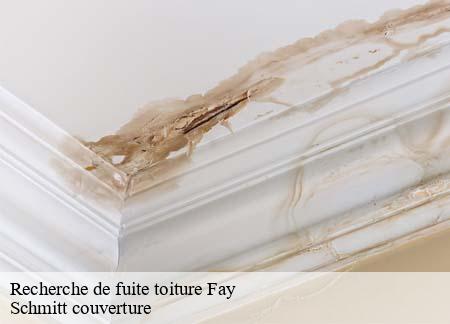 Recherche de fuite toiture  fay-61390 Schmitt couverture