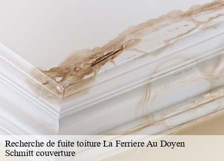 Recherche de fuite toiture  la-ferriere-au-doyen-61380 Schmitt couverture