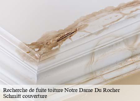 Recherche de fuite toiture  notre-dame-du-rocher-61100 Schmitt couverture