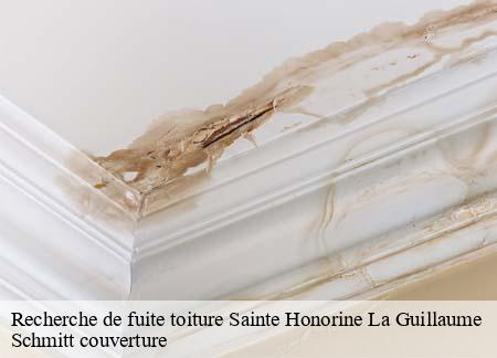 Recherche de fuite toiture  sainte-honorine-la-guillaume-61210 Schmitt couverture