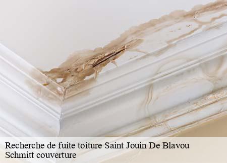 Recherche de fuite toiture  saint-jouin-de-blavou-61360 Schmitt couverture