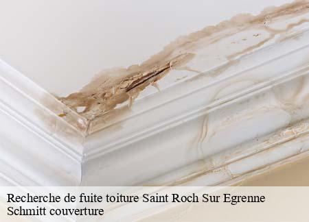 Recherche de fuite toiture  saint-roch-sur-egrenne-61350 Schmitt couverture