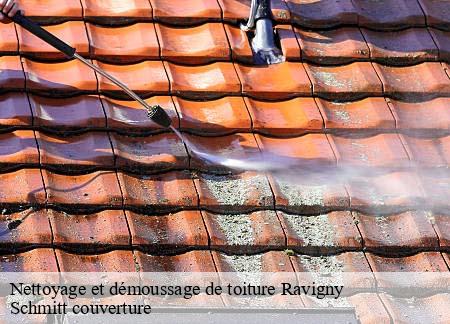 Nettoyage et démoussage de toiture  ravigny-61420 Schmitt couverture