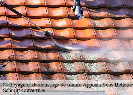 Nettoyage et démoussage de toiture  appenai-sous-belleme-61130 Schmitt couverture