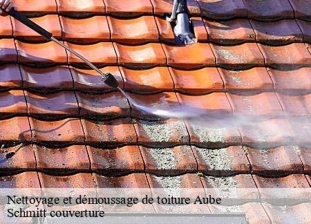 Nettoyage et démoussage de toiture  aube-61270 Schmitt couverture