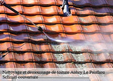 Nettoyage et démoussage de toiture  aubry-le-panthou-61120 Schmitt couverture