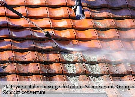 Nettoyage et démoussage de toiture  avernes-saint-gourgon-61470 Schmitt couverture