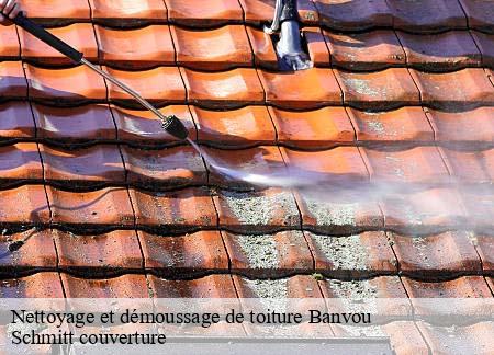 Nettoyage et démoussage de toiture  banvou-61450 Schmitt couverture