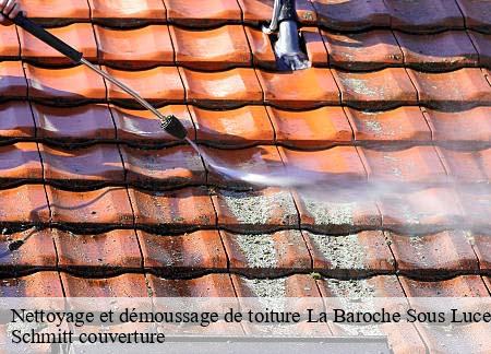 Nettoyage et démoussage de toiture  la-baroche-sous-luce-61330 Schmitt couverture