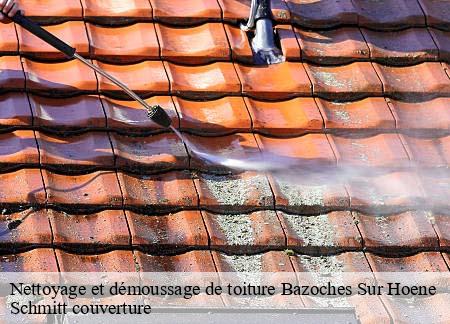 Nettoyage et démoussage de toiture  bazoches-sur-hoene-61560 Schmitt couverture