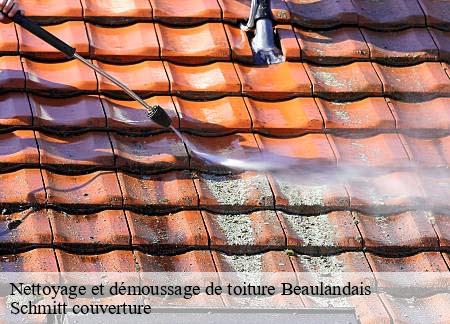 Nettoyage et démoussage de toiture  beaulandais-61140 Schmitt couverture