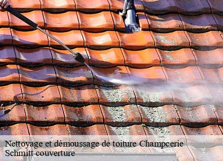 Nettoyage et démoussage de toiture  champcerie-61210 Schmitt couverture