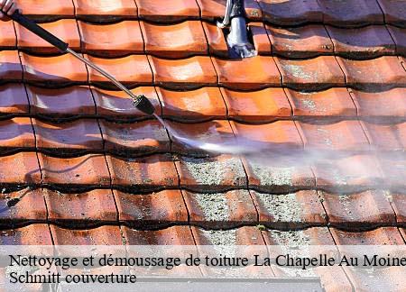 Nettoyage et démoussage de toiture  la-chapelle-au-moine-61100 Schmitt couverture