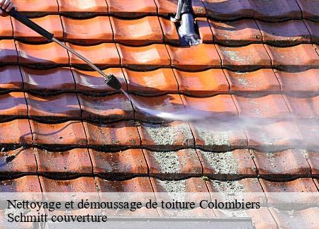 Nettoyage et démoussage de toiture  colombiers-61250 Schmitt couverture