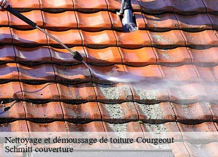 Nettoyage et démoussage de toiture  courgeout-61560 Schmitt couverture