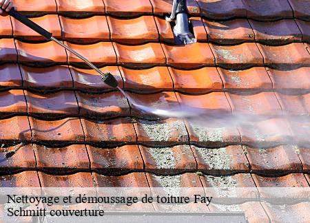 Nettoyage et démoussage de toiture  fay-61390 Schmitt couverture