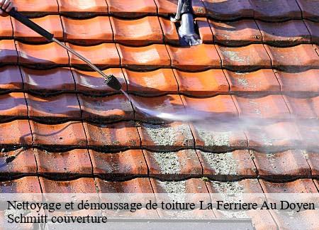 Nettoyage et démoussage de toiture  la-ferriere-au-doyen-61380 Schmitt couverture