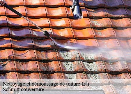 Nettoyage et démoussage de toiture  irai-61190 Schmitt couverture