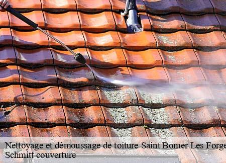 Nettoyage et démoussage de toiture  saint-bomer-les-forges-61700 Schmitt couverture