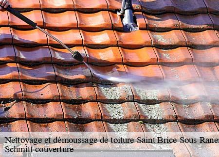 Nettoyage et démoussage de toiture  saint-brice-sous-ranes-61150 Schmitt couverture