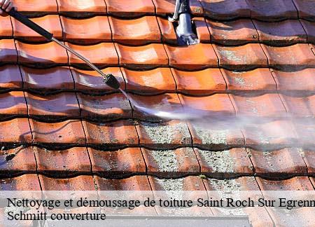 Nettoyage et démoussage de toiture  saint-roch-sur-egrenne-61350 Schmitt couverture