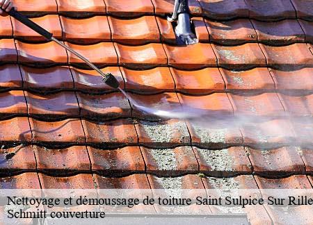 Nettoyage et démoussage de toiture  saint-sulpice-sur-rille-61300 Schmitt couverture