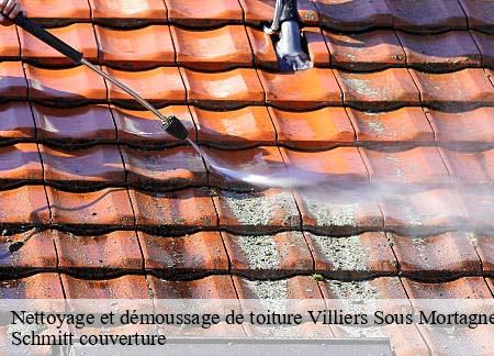 Nettoyage et démoussage de toiture  villiers-sous-mortagne-61400 Schmitt couverture