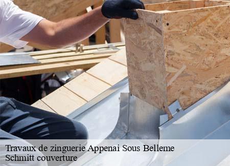 Travaux de zinguerie  appenai-sous-belleme-61130 Schmitt couverture