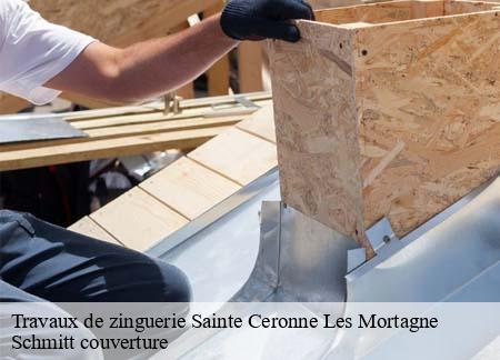 Travaux de zinguerie  sainte-ceronne-les-mortagne-61380 Schmitt couverture